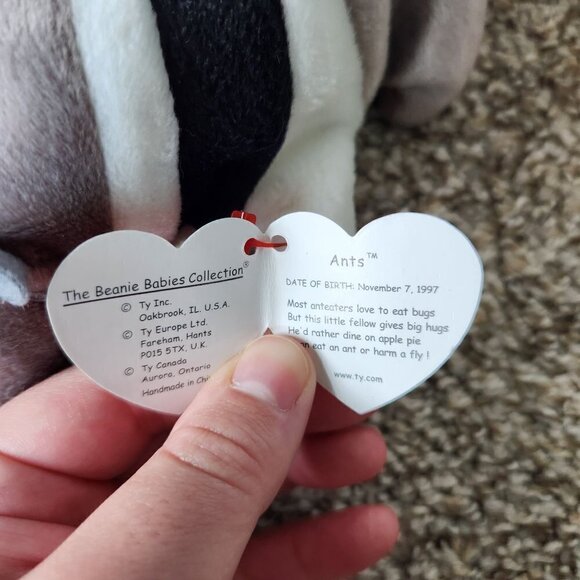 Ty Beanie Baby Bundle - Pouch, Ziggy, Chocolate, Ants and Roam - Picture 9 of 11